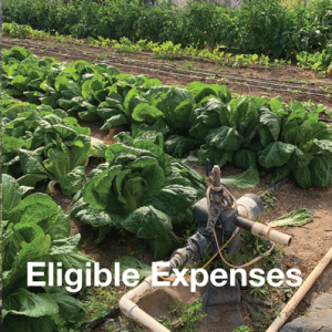 Eligible-Expenses